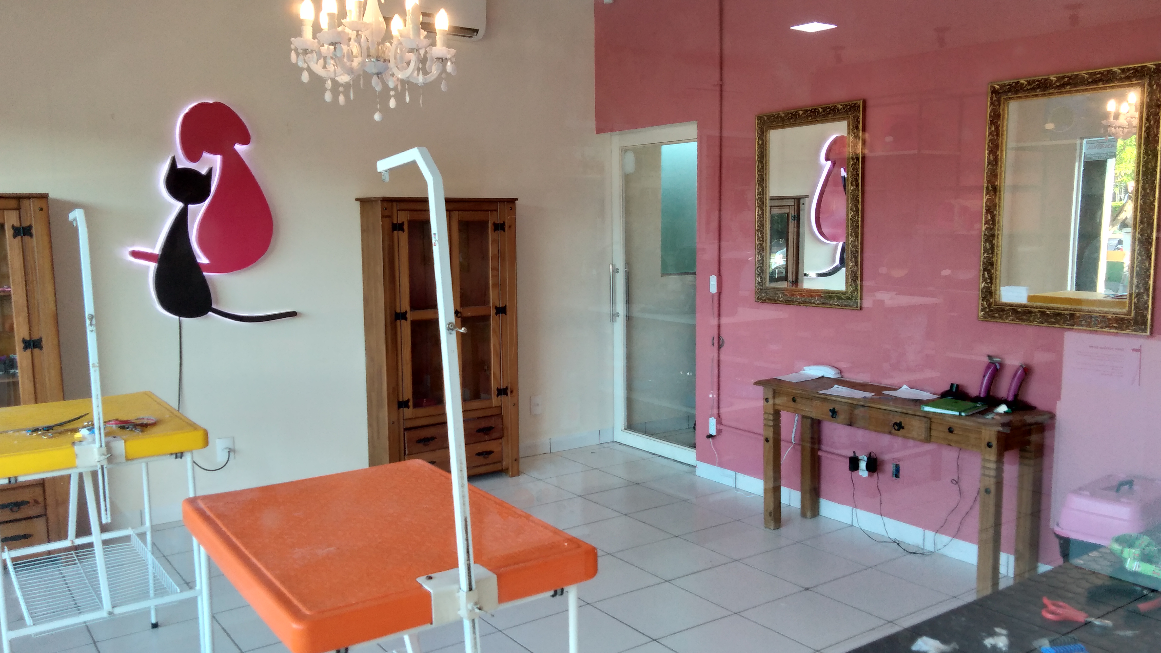 Estética Animal em Sinop