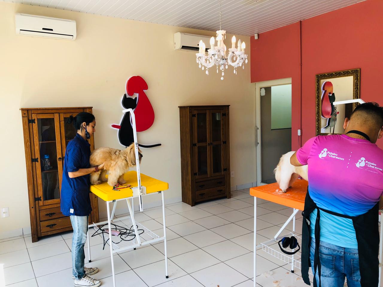 Estética Animal em Sinop
