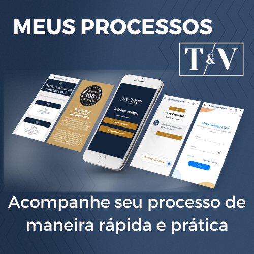 MEUS PROCESSOS T&V