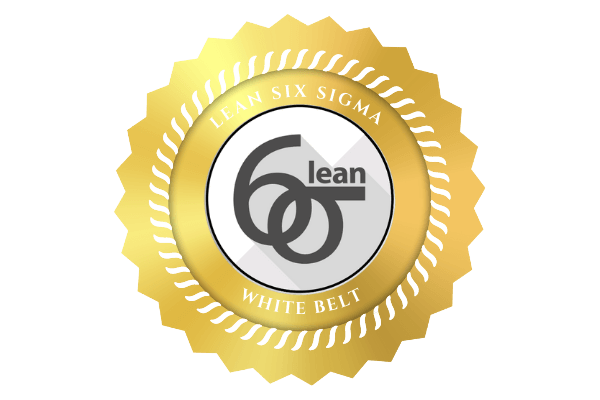 Lean Six Sigma Green Belt Certification Online Training Lean Six