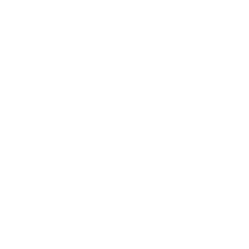 The circle logo for Style Solutions for You