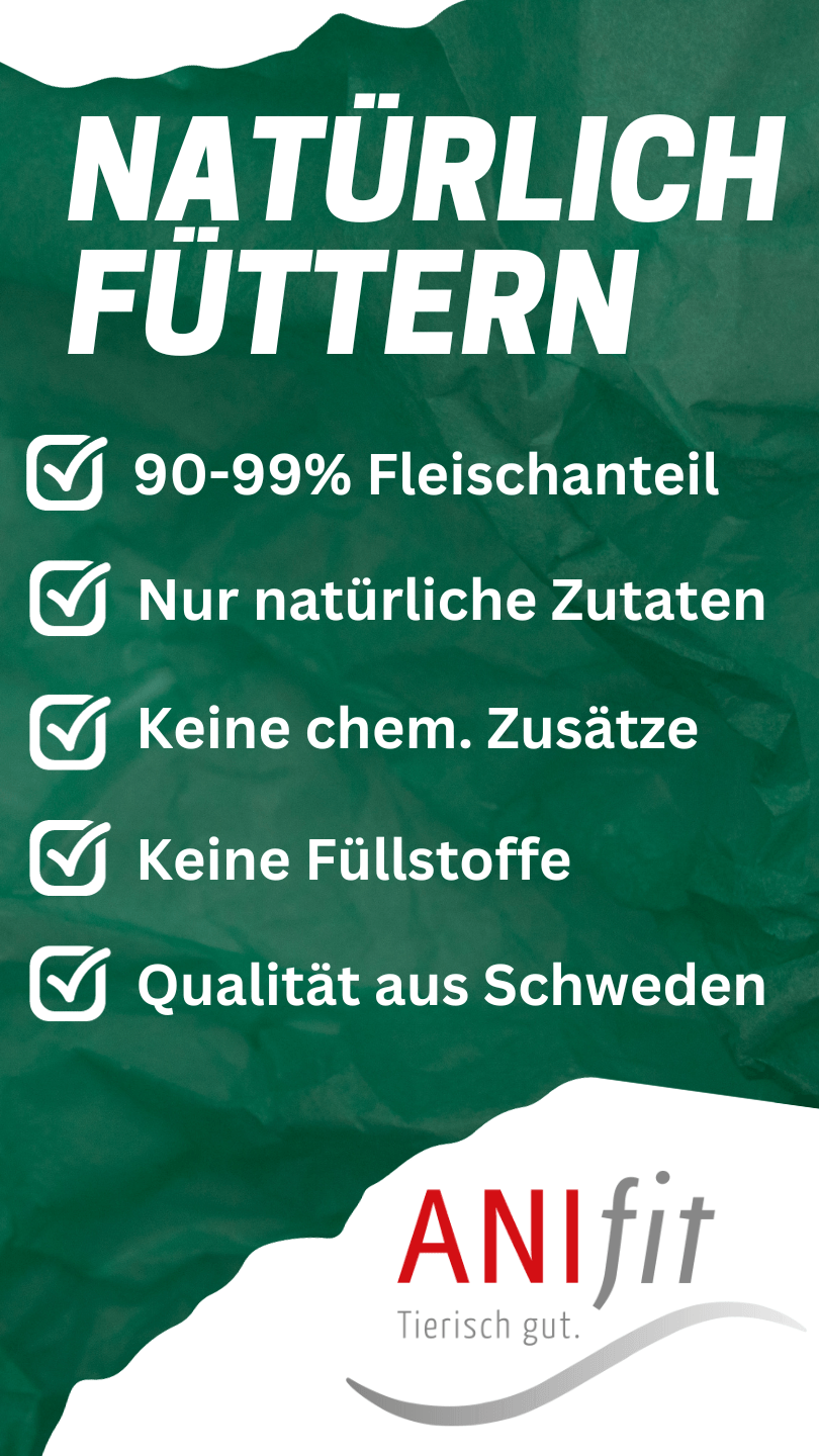 Anifit Onlineshop für Hunde und Katzen Tiernahrung