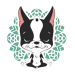 Pura Vida Pet Vila Olimpia