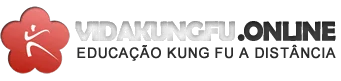 Aprenda Kung Fu Online