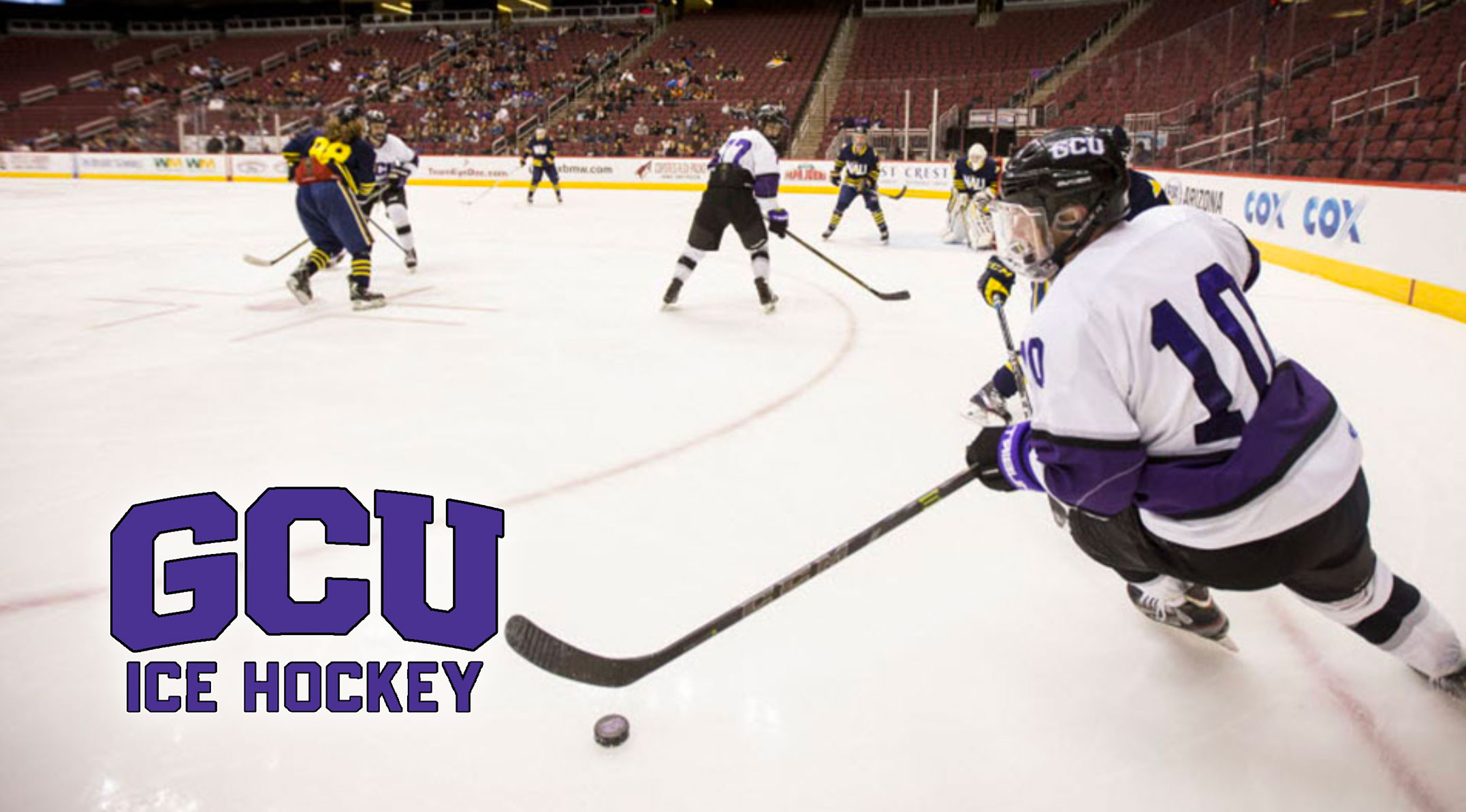 Arcadia Ice Skating Factory Sale