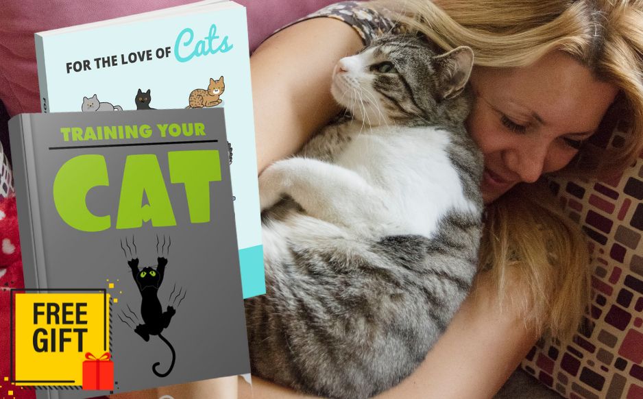 Does My Cat Love Me?